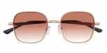 Gold / Brown Lenses