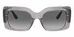 Transparent Grey / Transparent Grey