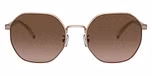 Shiny Rose Gold / Brown Peach Flash