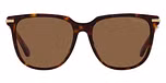 Dark Havana / Brown / Brown
