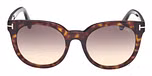 DARK HAVANA / DARK HAVANA / GRADIENT SMOKE / ECO