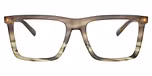 Olive Block Tortoise