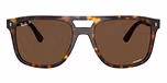 Havana / Polarized Brown