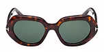 DARK HAVANA / DARK HAVANA / GREEN