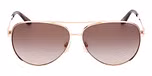 SHINY ROSE GOLD / SHINY ROSE GOLD / GRADIENT BROWN
