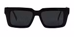 Black / Polarized