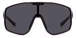 BLACK / GREY POLARIZED
