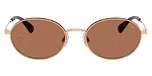 Shiny Pale Gold / Dark Brown