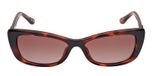 DARK HAVANA / DARK HAVANA / GRADIENT BROWN