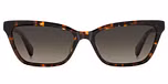 HAVANA / BROWN SHADED