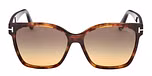 COLOURED HAVANA / COLOURED HAVANA / GRADIENT SMOKE