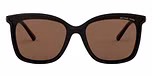 BLACK/brown solid