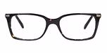 Demi / Brown Tortoiseshell