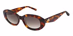 GLOSS CLASSIC TORT