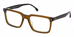 SHINY TRANSPARENT BROWN