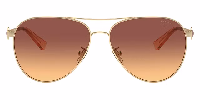 COACH - HC7128