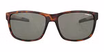 Matte tort / Black / 
Solid green PC polarized