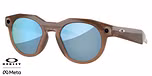 Brown Smoke / Prizm Deep Water Polarized