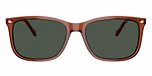 Transparent Brown / Brown / Dark Green Polarized