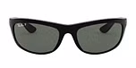 SHINY BLACK / black / green polarized