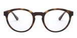 MATTE HAVANA / havana / clear