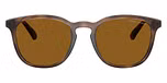 Shiny Dark Havana / Dark Polarised Brown