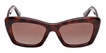 DARK HAVANA / DARK HAVANA / GRADIENT BROWN