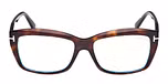 DARK HAVANA / DARK HAVANA