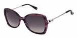 GLOSS PURPLE HORN