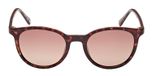 DARK HAVANA / DARK HAVANA / BROWN POLARIZED