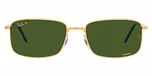 Gold / Dark green polarized