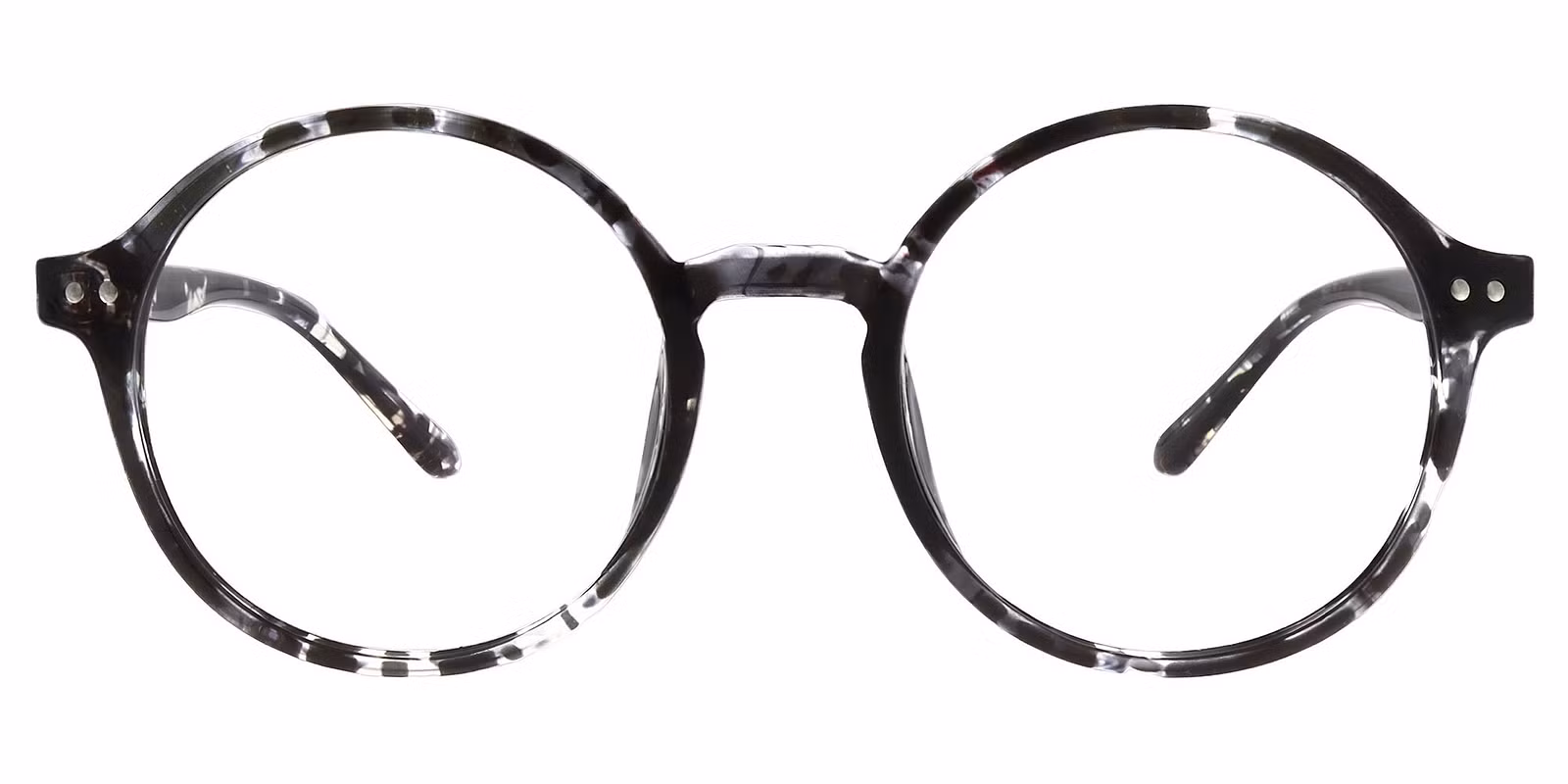 T88012 - Grey Tortoise