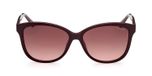 SHINY BORDEAUX / GRADIENT BROWN