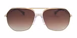 Matt gold / Black / Gradient brown lens