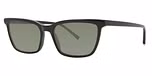 Black / polarized