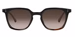 Brown, Demi / Brown Graduated / Polarised lenses