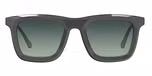 Gray / Green Polarised lenses