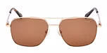 Shiny Pale Gold / Matte Pale Gold / brown / Polarized