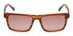LIGHT BROWN / HORN / LIGHT BROWN/HORN / BROWN POLARIZED