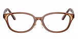 Transparent Brown / Brown