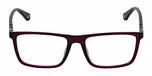 SHINY TRANSPARENT RED