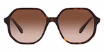 Havana / Tortoise / Brown Gradient