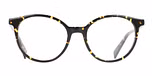 TOKYO TORTOISE