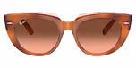 Red Havana On Transparent Multicolour / Pink Gradient Brown