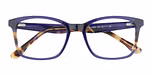 Gloss Rich Blue / 
Blue Tort