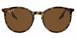 Havana On Transparent / Brown polarized