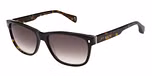 GLOSS CLASSIC TORT / GRADUATED