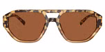 Brown Tortoise / Brown Solid