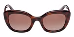 DARK HAVANA / DARK HAVANA / GRADIENT BROWN