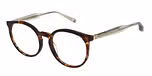 TORTOISESHELL